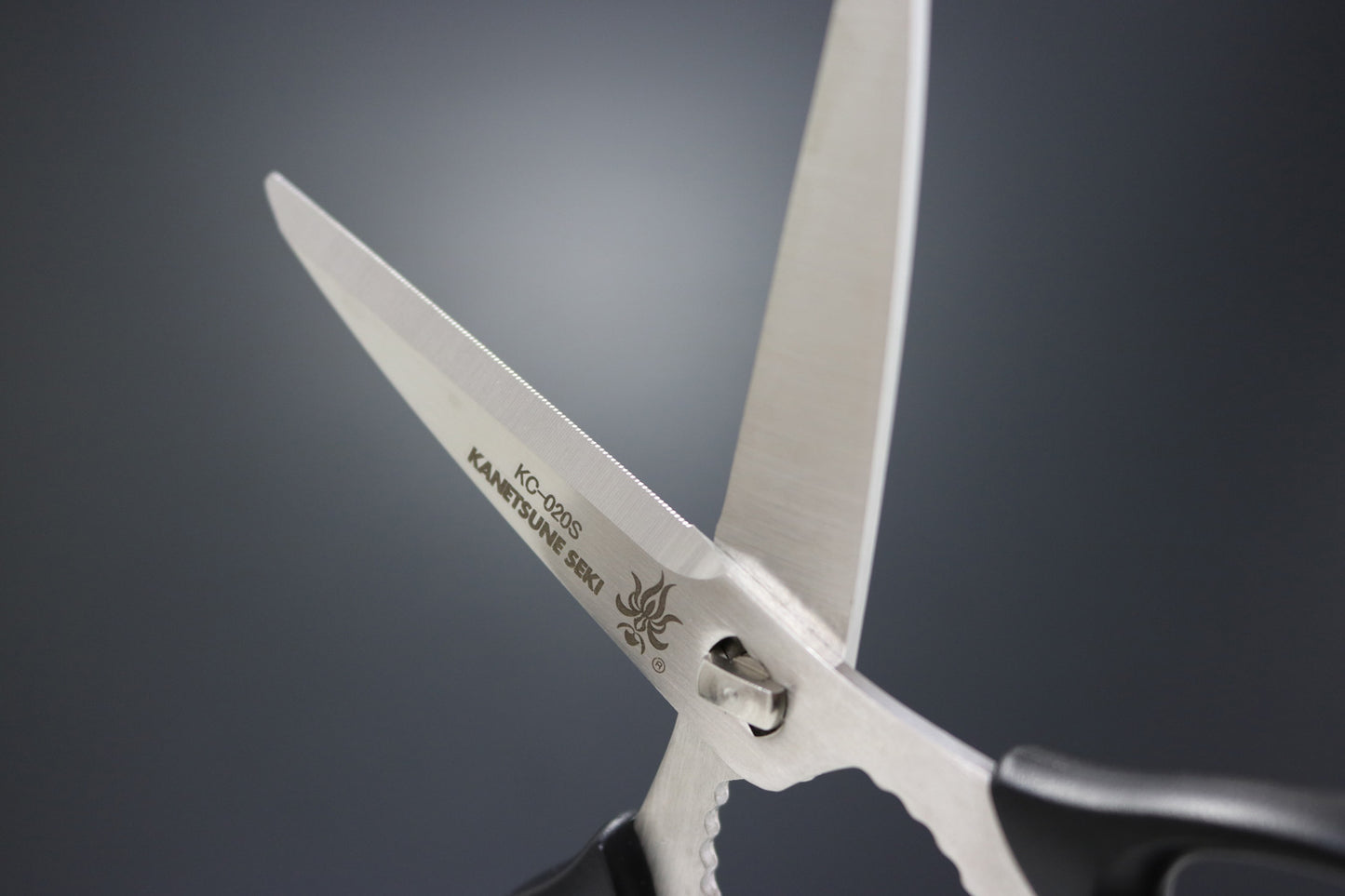 Kanetsune Seki forbice smontabile da cucina 18.5 cm - 7.28"