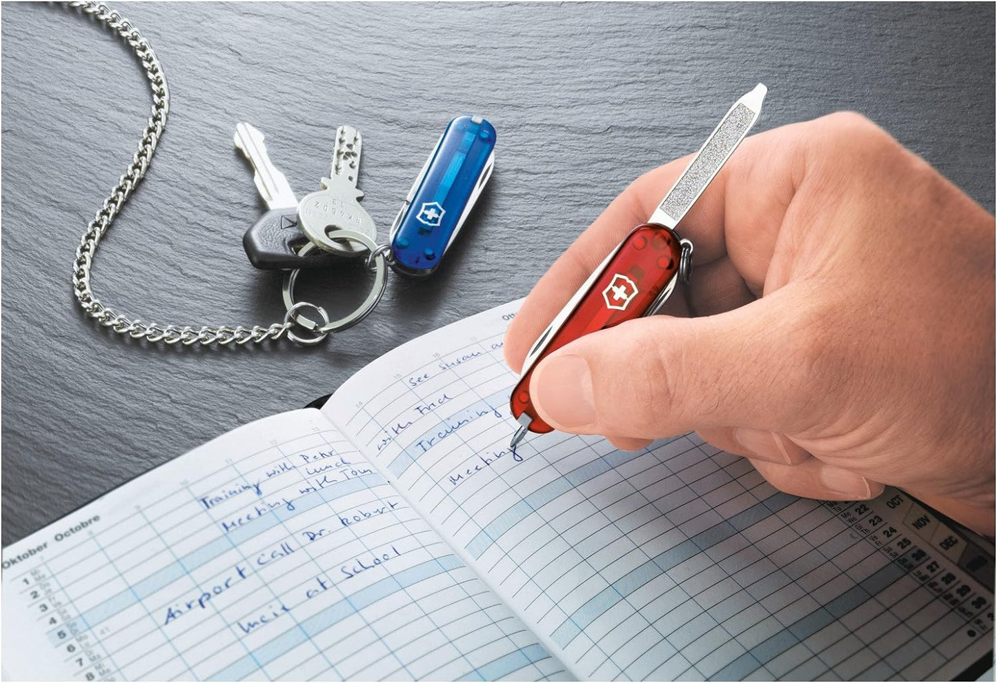 Victorinox Coltello Multiuso Signature Ruby 0.6225.T