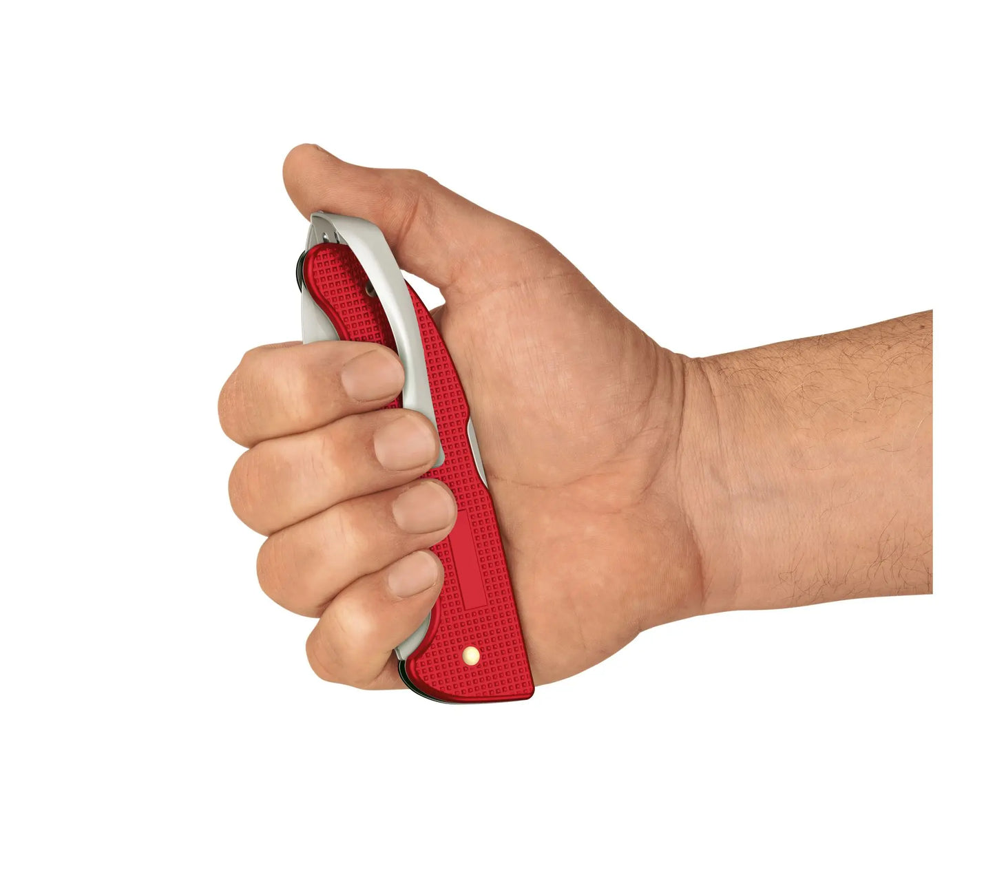 Victorinox Hunter Pro Evoke Alox argento 0.9415.D26