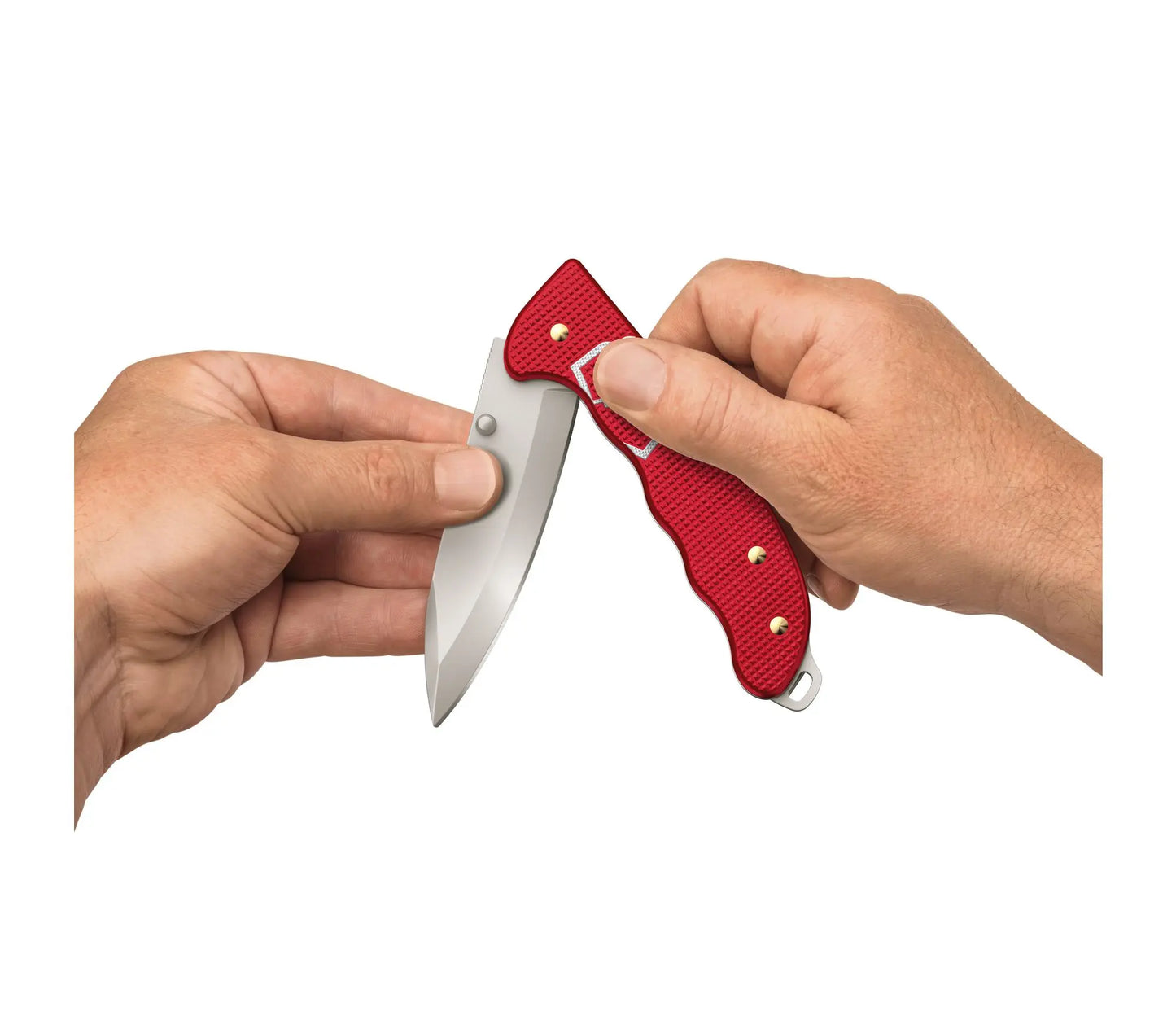 Victorinox Hunter Pro Evoke Alox nero 0.9415.DS23
