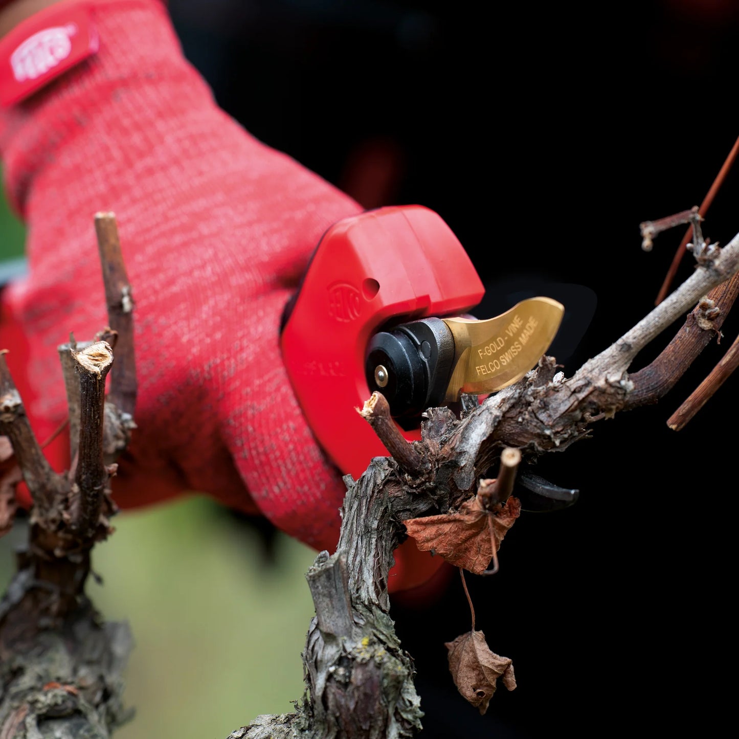 Felco 834V cesoia elettrica a batteria progettata per una potatura precisa del vigneto in sicurezza e con meno fatica e prodotta in Svizzera