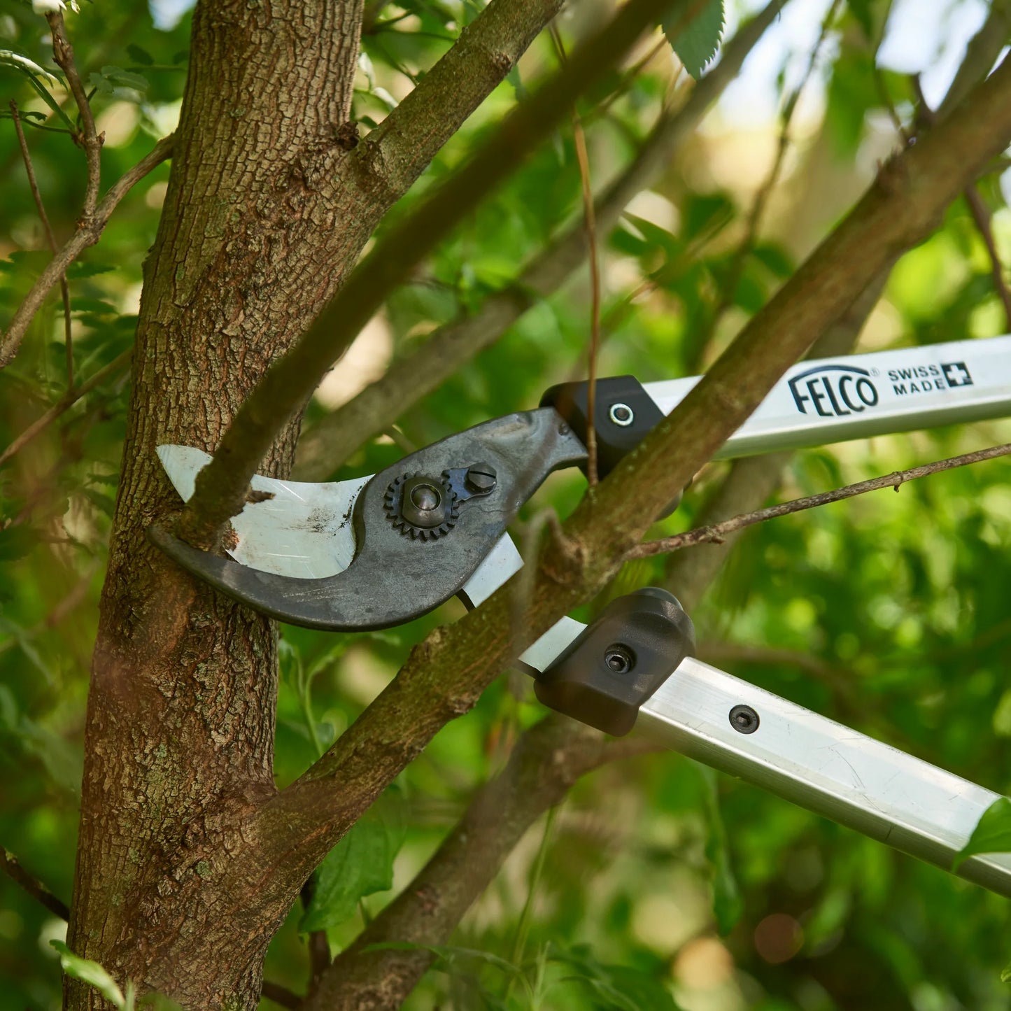 Felco forbici cesoie sfrondatori da agricoltura e giardinaggio professionale, da potare a due mani cm 50 F211-50