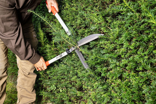 Felco 250-63 cesoia forbice taglia siepe lama cm 25 63 cm