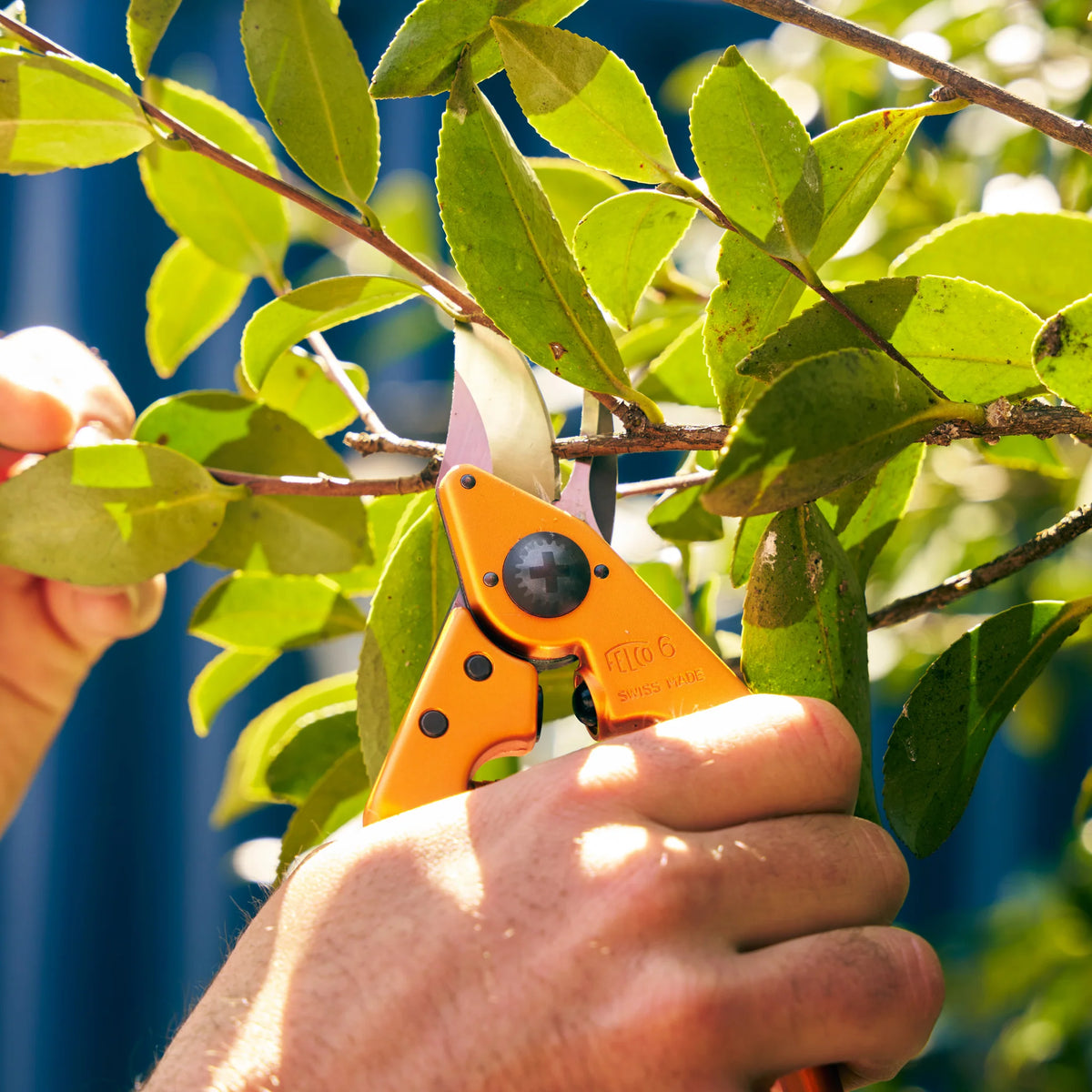 FELCO 6 Electric Arancione + 910 Fodero in vero cuoio
