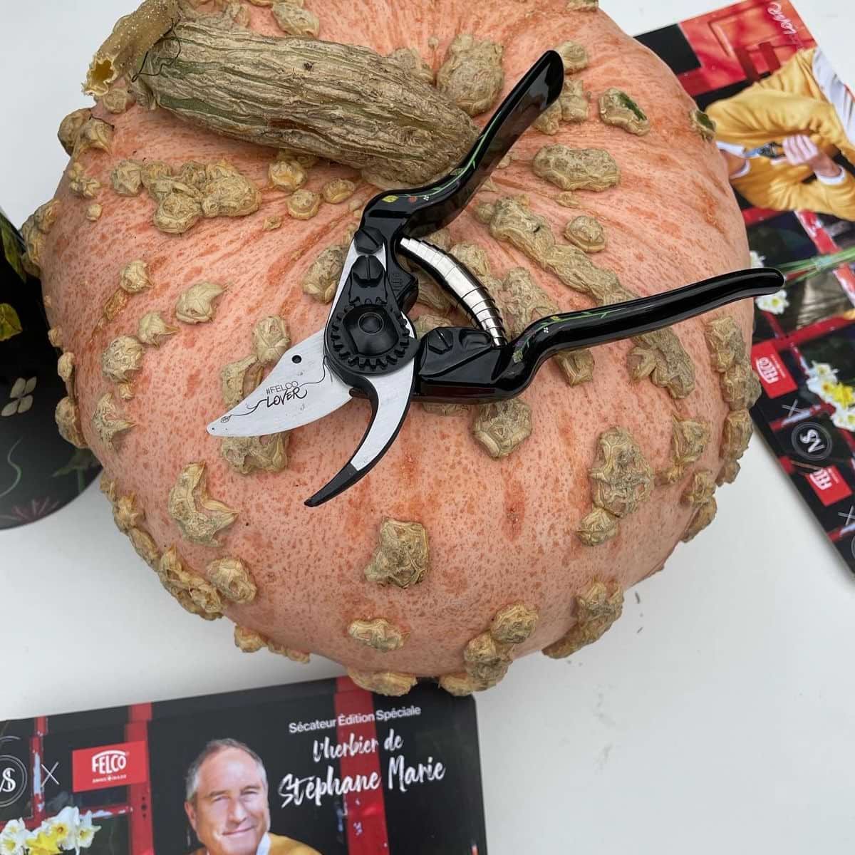 Felco 8 Edizione Speciale Stéphane Marie cesoia forbice per potare con minimo sforzo