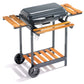 Ompagrill Barbecue legna/carbonella 60,5X 33,5 60-40 SATURNO/RCN con ruote