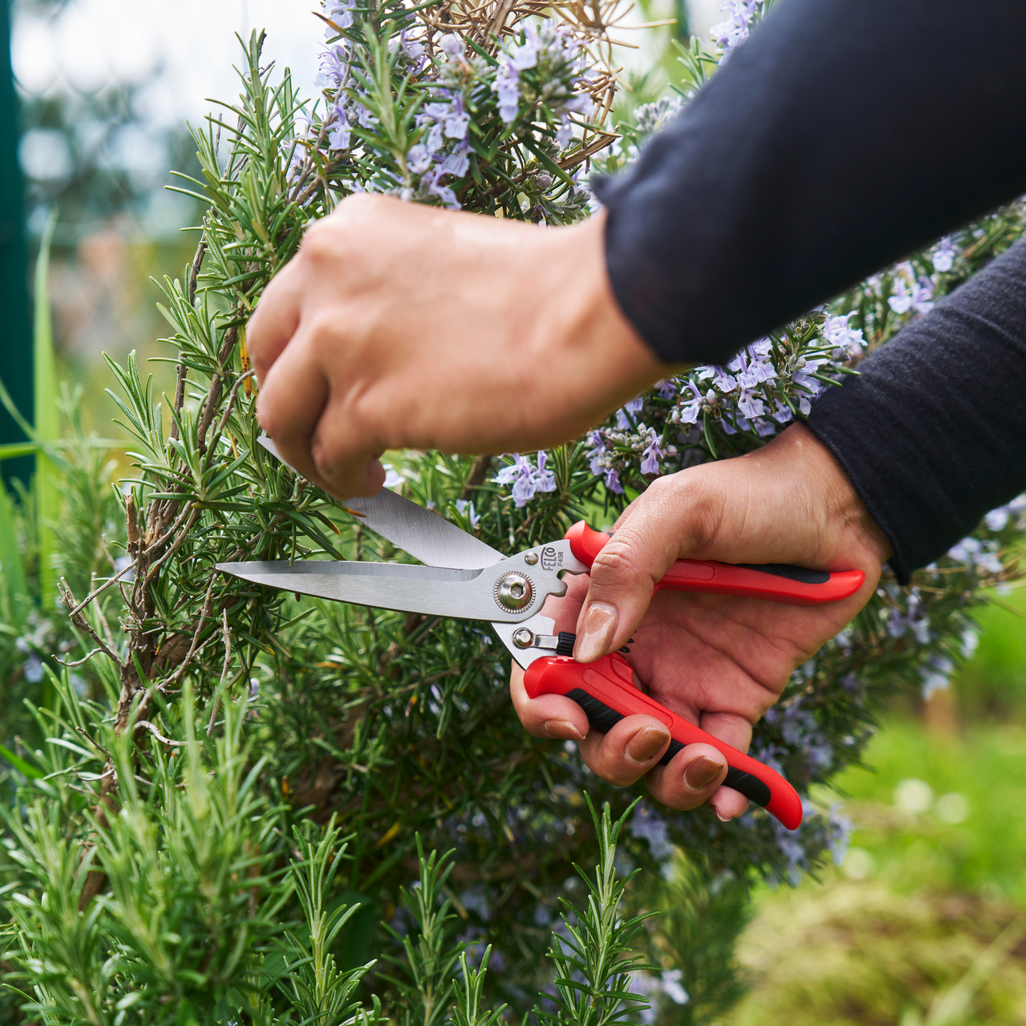 Felco cesoia per gli appassionati di giardinaggio 456