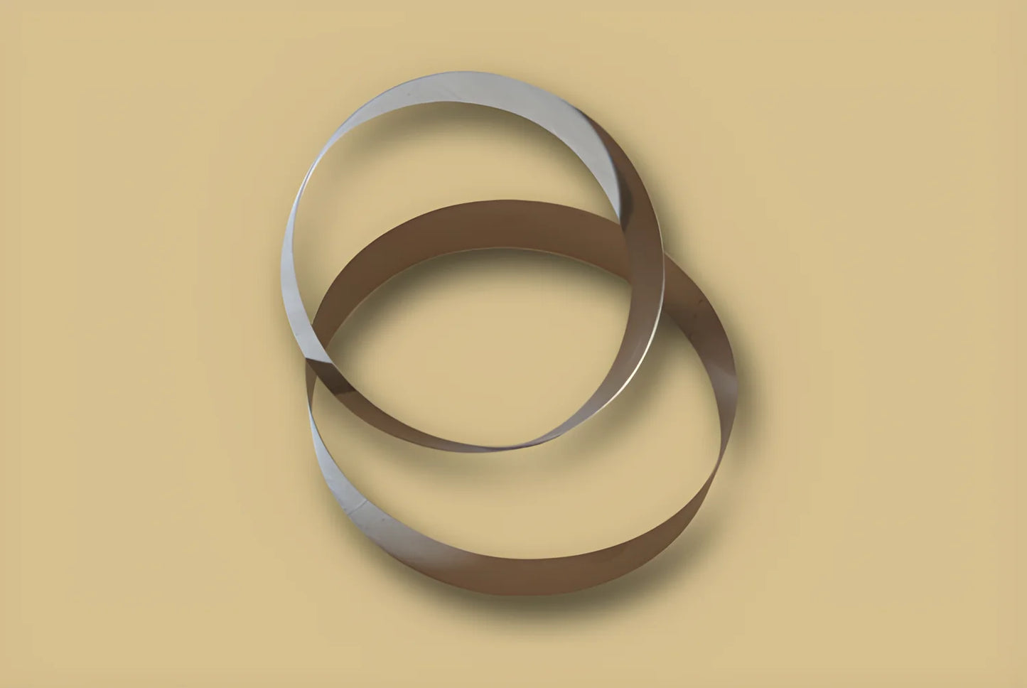 Coppa pasta set due anelli inox H 50mm diametro 220/250mm A-261