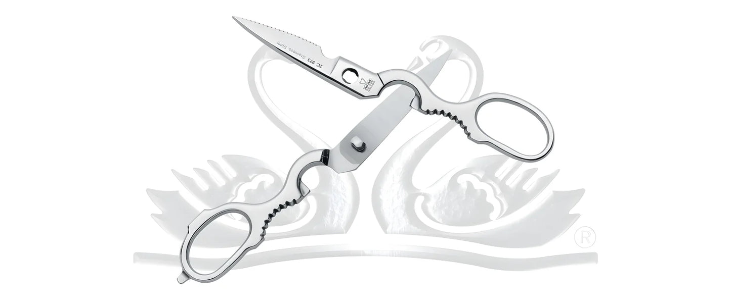 Due Cigni forbice da cucina speciale smontabile inox 2C 974/22