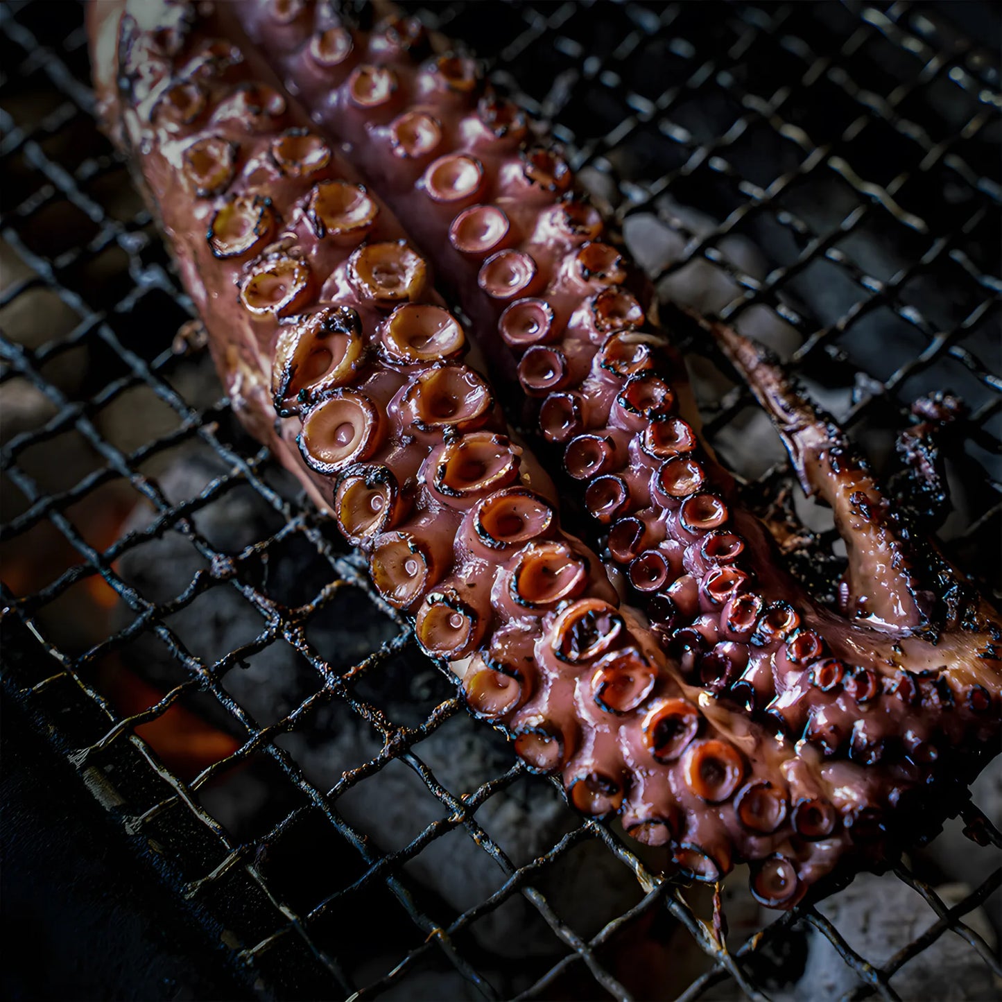 YAKINIKU Shichirin Large Rettangolare – Griglia da Tavolo Konro per 4-8 Persone