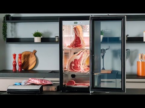 Armadio per Frollatura Carne Caso con tecnologia a compressore DryAged Master 63L