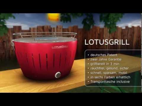 Lotus Grill 2,5 KG di Carbonella di faggio l'originale