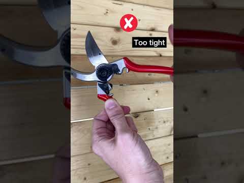 Felco kit cesoia n.6 + affilatore 906