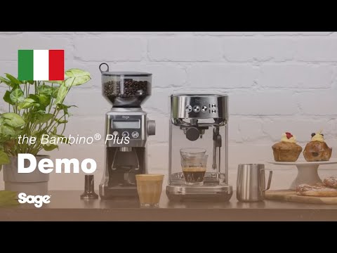 Sage macchina Caffè the Bambino Plus Tartufo nero macchina Caffè SES500BSS4EEU1