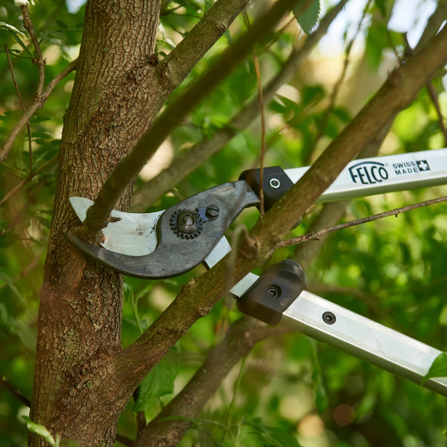 Felco forbici cesoie sfrondatori da agricoltura e giardinaggio professionale, da potare a due mani cm 50 F211-50