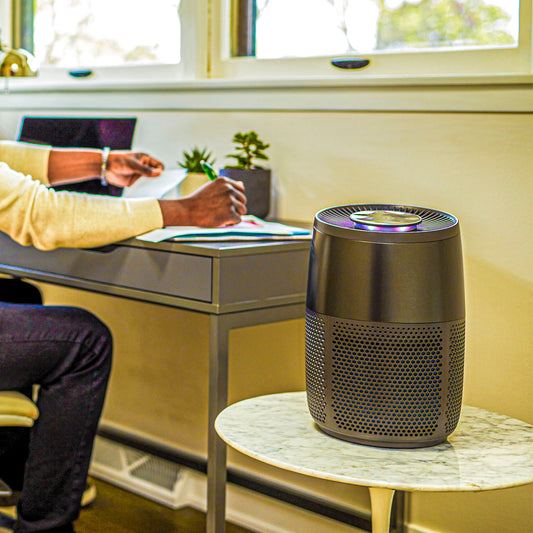 Instant purificatore d'aria ap100 antracite ip 150-0013-01