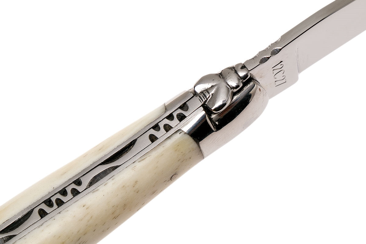Laguiole en Aubrac coltello impugnatura punta di corno bianco