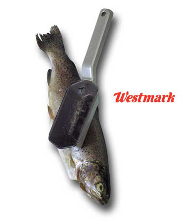 Squama pesce in allumunio Art.6500