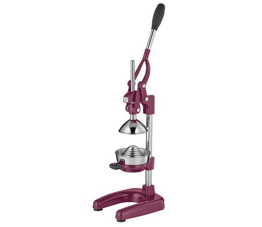 Cilio Spremiagrumi e melogarano professionale manuale 5113646