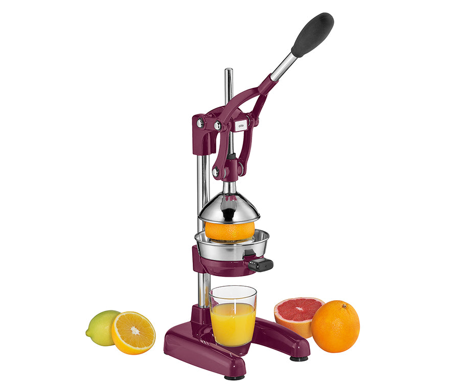 Cilio Spremiagrumi e melogarano professionale manuale 5113646