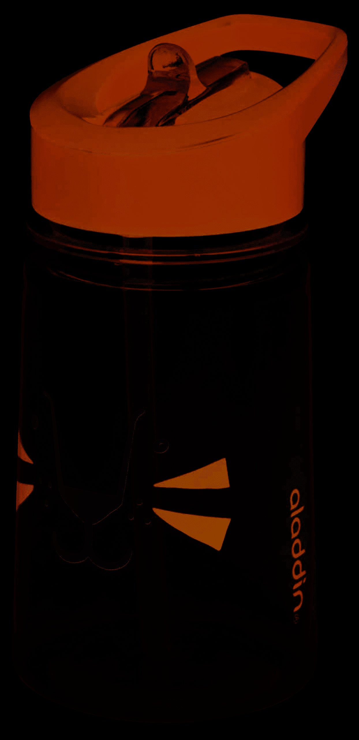 Borraccia per bambini Flip&Sip zoo Leone da 0,350 Lt 5410916