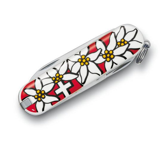 Victorinox Coltello Multiuso Stella Alpina 0.62 03.840