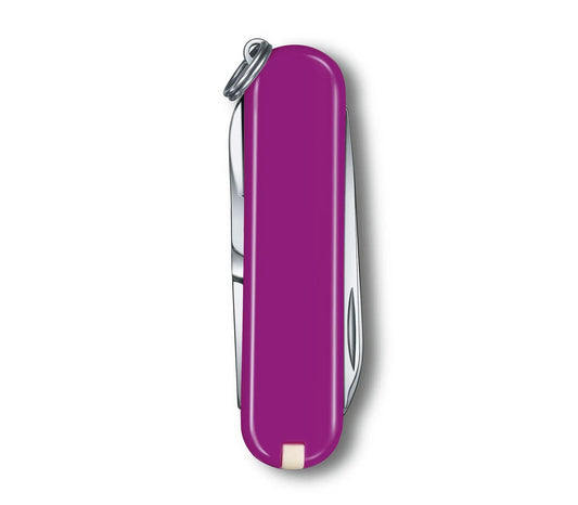 Victorinox Classic SD Color Tasty Grape 0.62 23.52G