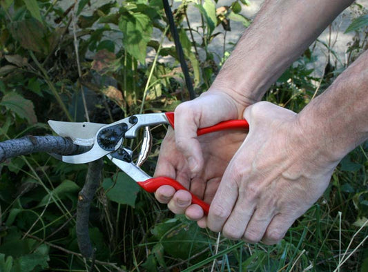 Felco cesoia forbice polivalente Mod.13