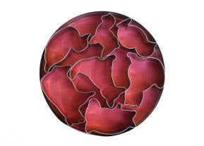 Box 7 tagliabiscotti 'fattoria' acciaio inox EVA 04 12 80