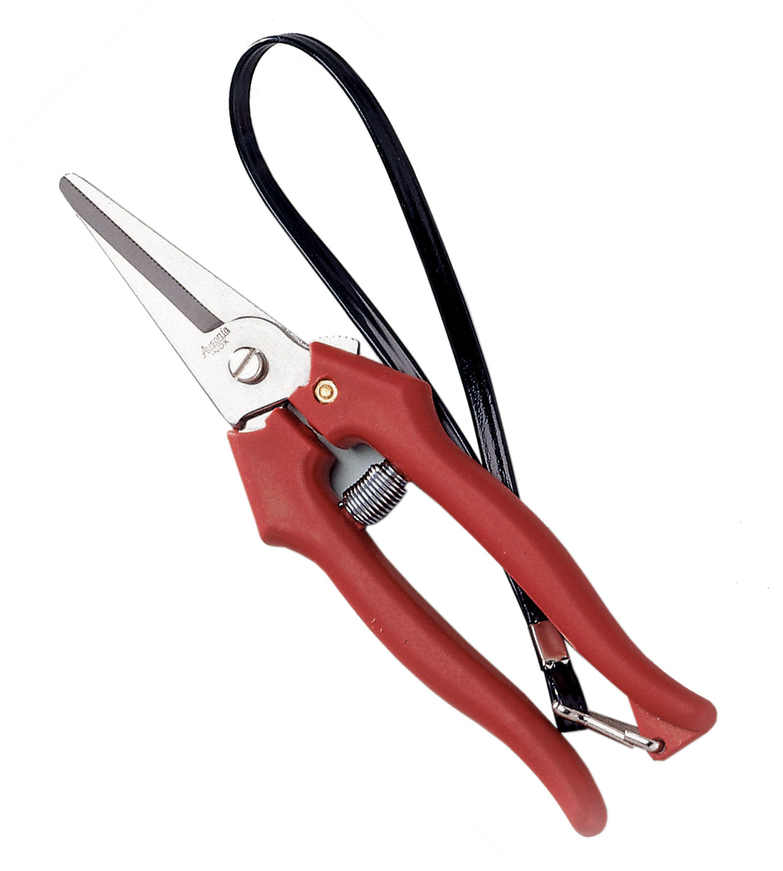 Forbice cogliuva cm 19 Ausonia Art.31326