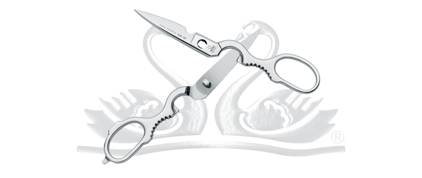 Due Cigni forbice da cucina speciale smontabile inox 2C 974/22