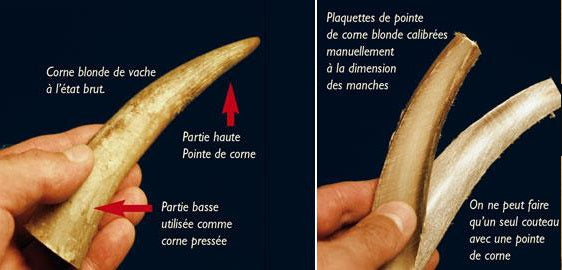 Laguiole en Aubrac coltello collezione osso di montone grezzo