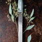 Microplane Grattugia Zeste verde eucalipto 46727