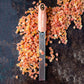 Microplane Grattugia Zester terracotta 46823