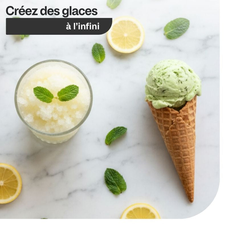 Magimix Gelato Expert Bacinella amovibile e fissa 2 litri 11680IT