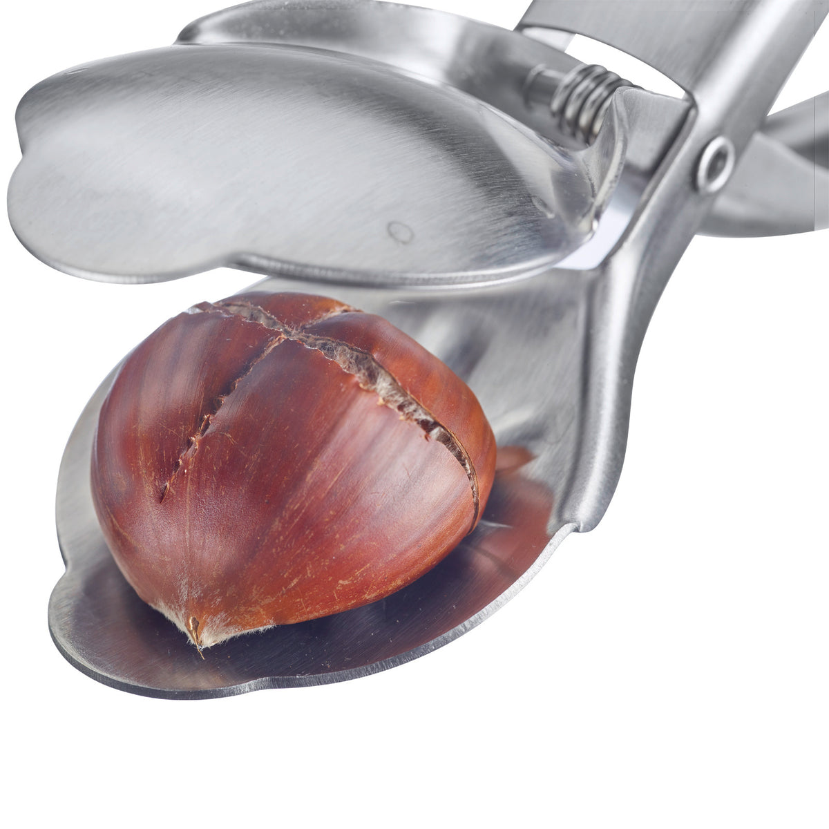 Westmark Kastanietta tagliacastagne inox con lame dentate