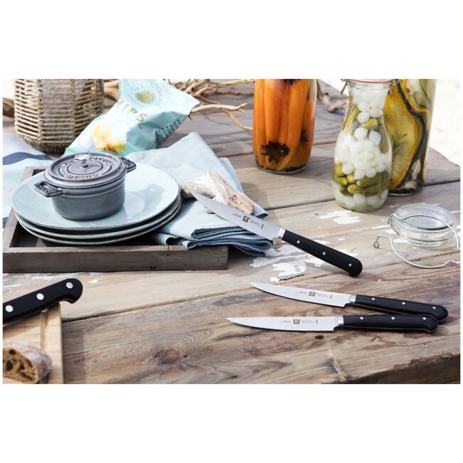 Zwilling Steak-Sets Set di 4 coltelli da bistecca con lama liscia design Matteo Thun