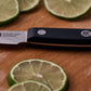 Zwilling Gourmet Spelucchino liscio 10 cm 36110-101-0