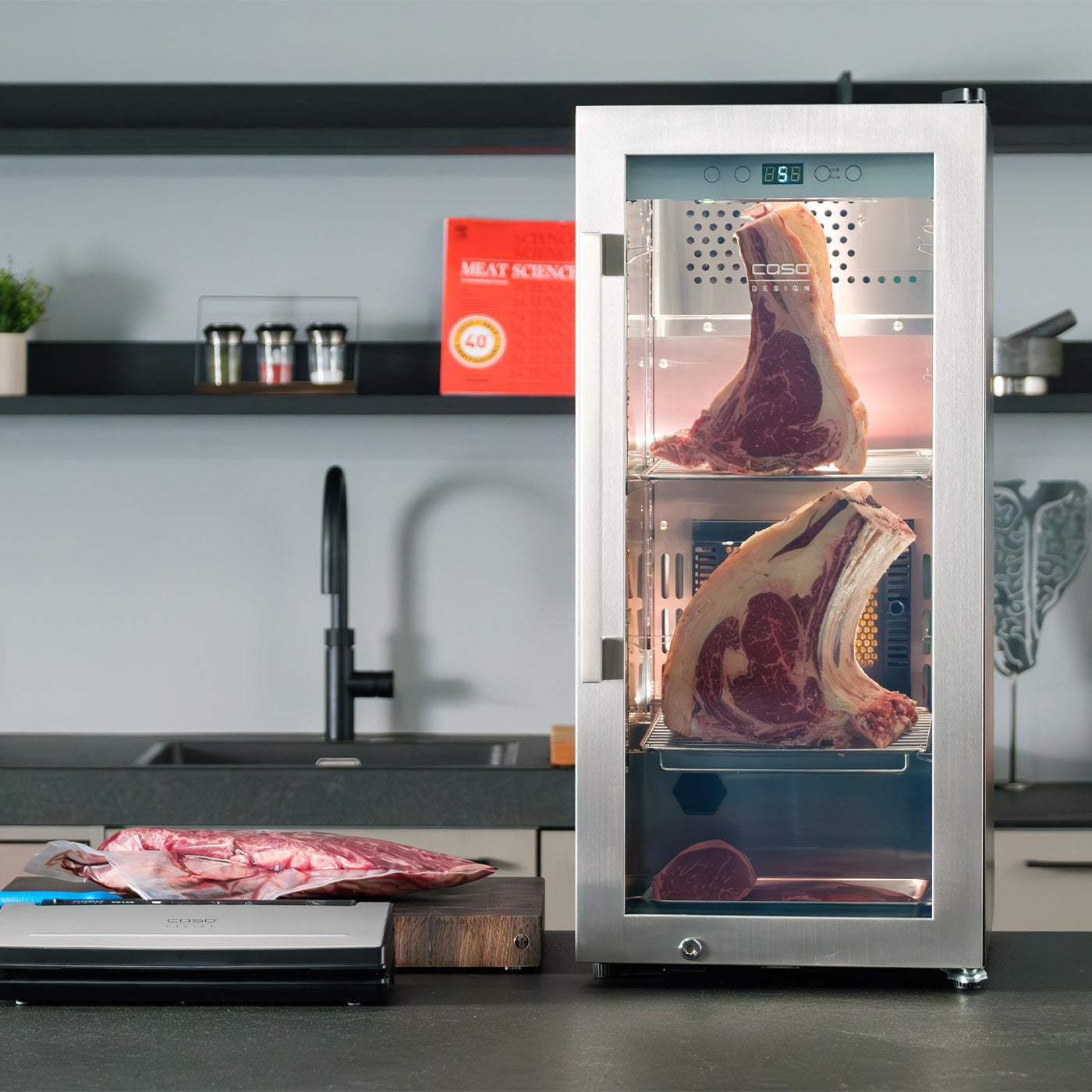 Armadio per Frollatura Carne Caso con tecnologia a compressore DryAged Master 63L