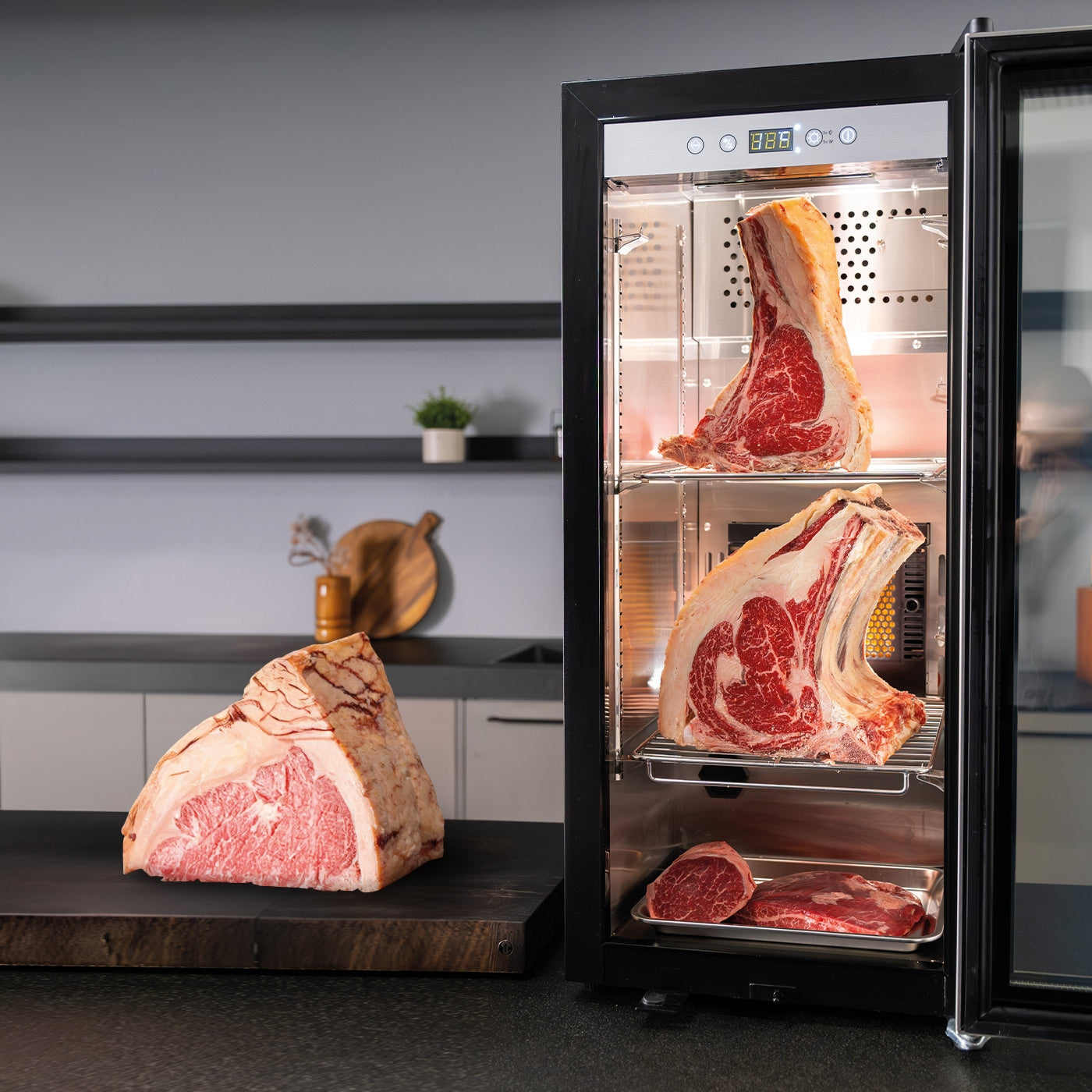 Armadio per Frollatura Carne Caso con tecnologia a compressore DryAged Master 63L