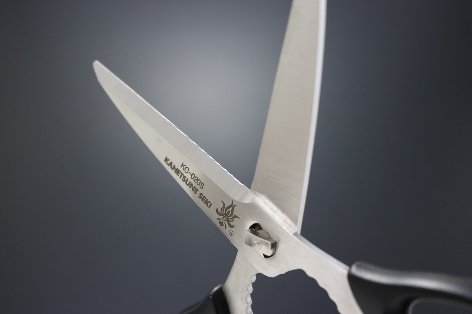 Kanetsune Seki forbice smontabile da cucina 18.5 cm - 7.28"