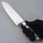 Tojiro coltello Santoku DP3 strati cm 17 Acciaio VG10 F-503