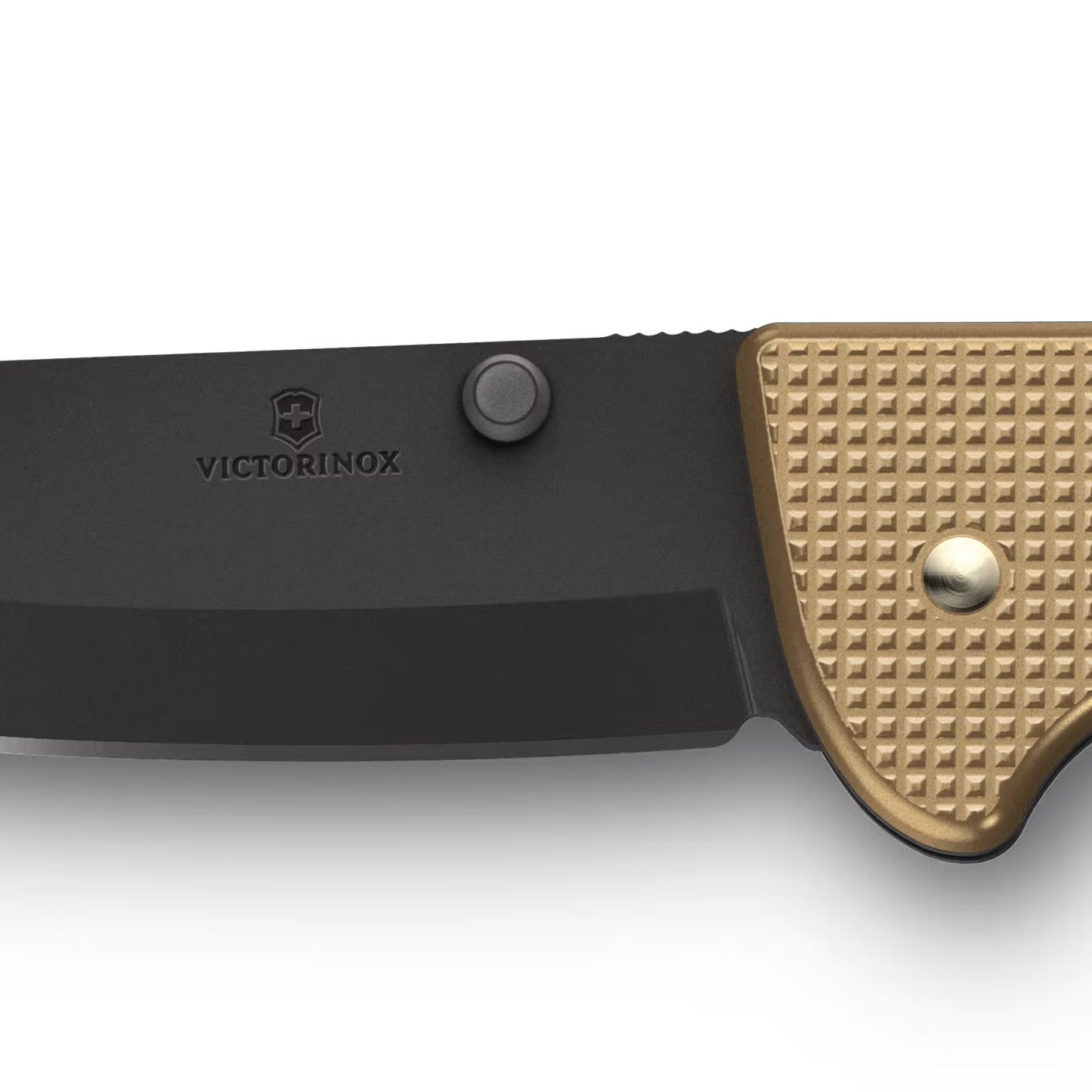 Victorinox Hunter Pro Evoke Alox bege 0.9415.DS249