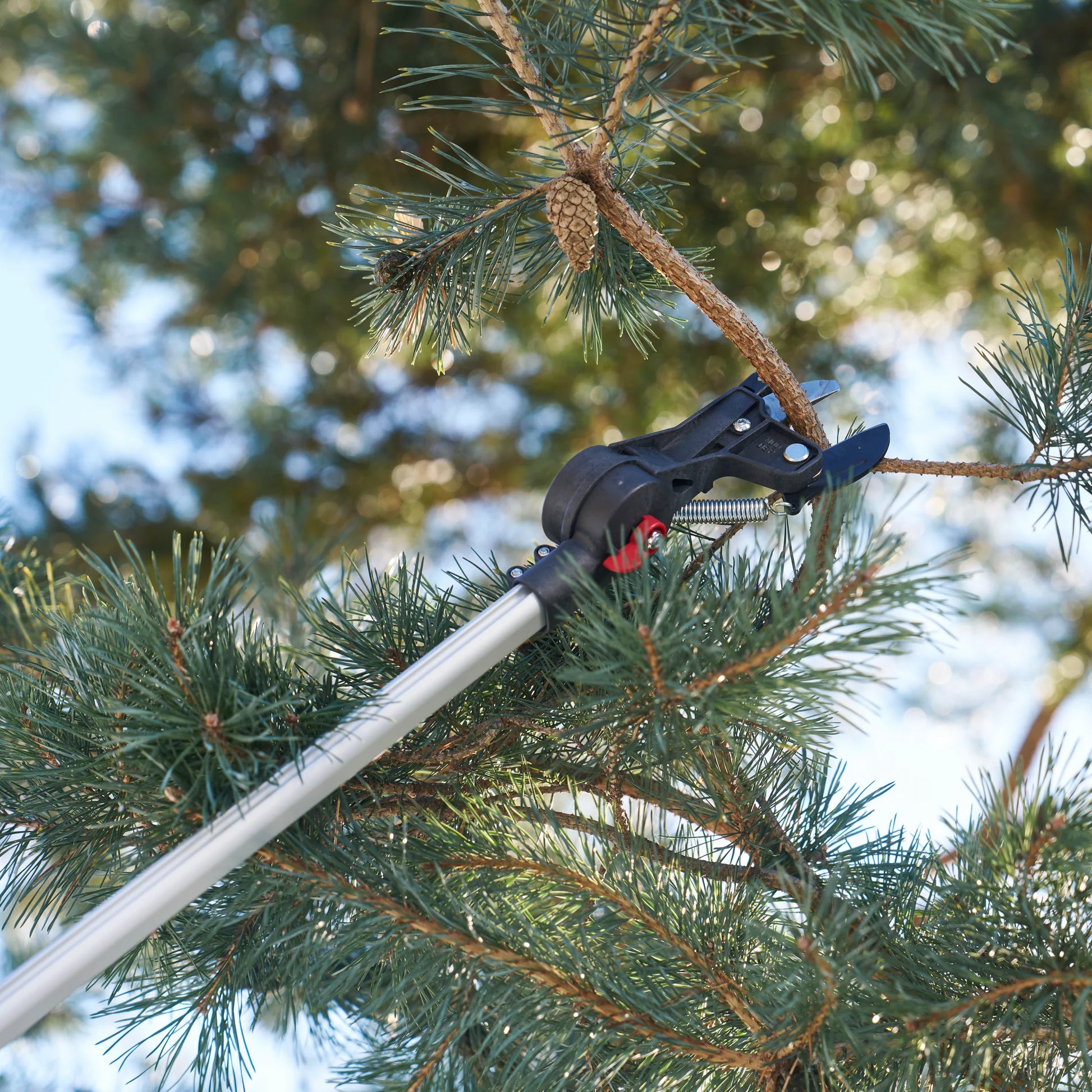 Felco 290-4M potatore estensione fino a 4,0 metri diametro di taglio 35 mm