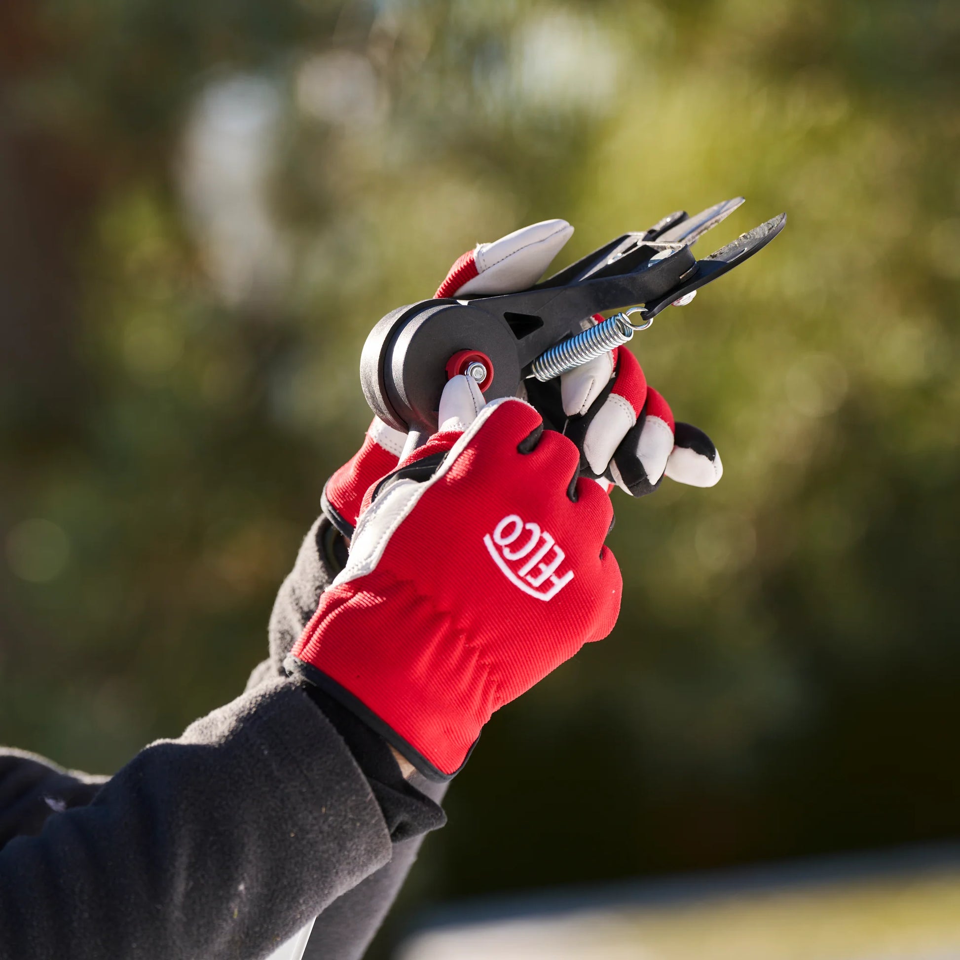 Felco 290-4M potatore estensione fino a 4,0 metri diametro di taglio 35 mm