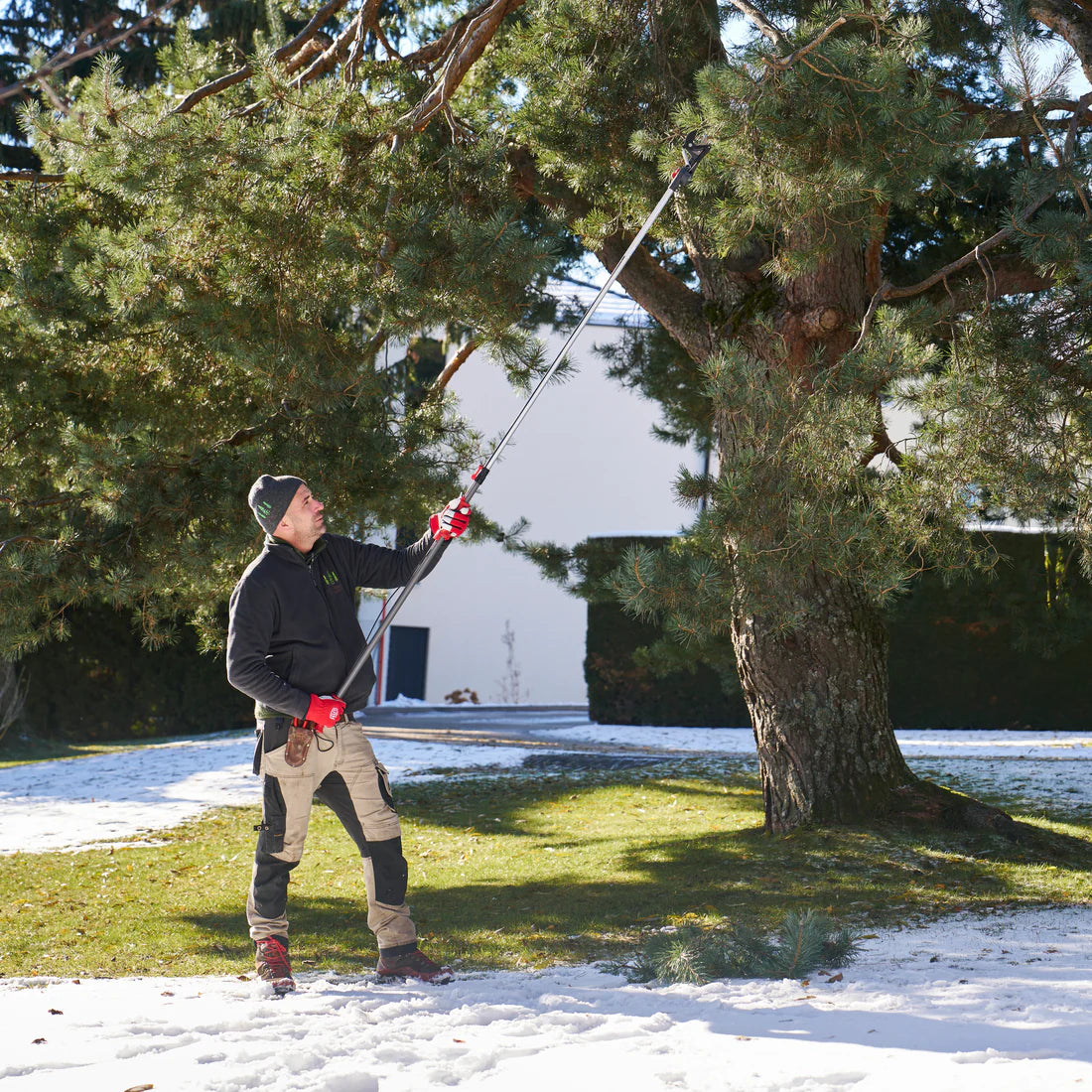 Felco 290-4M potatore estensione fino a 4,0 metri diametro di taglio 35 mm