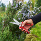 Felco cesoia per gli appassionati di giardinaggio 456