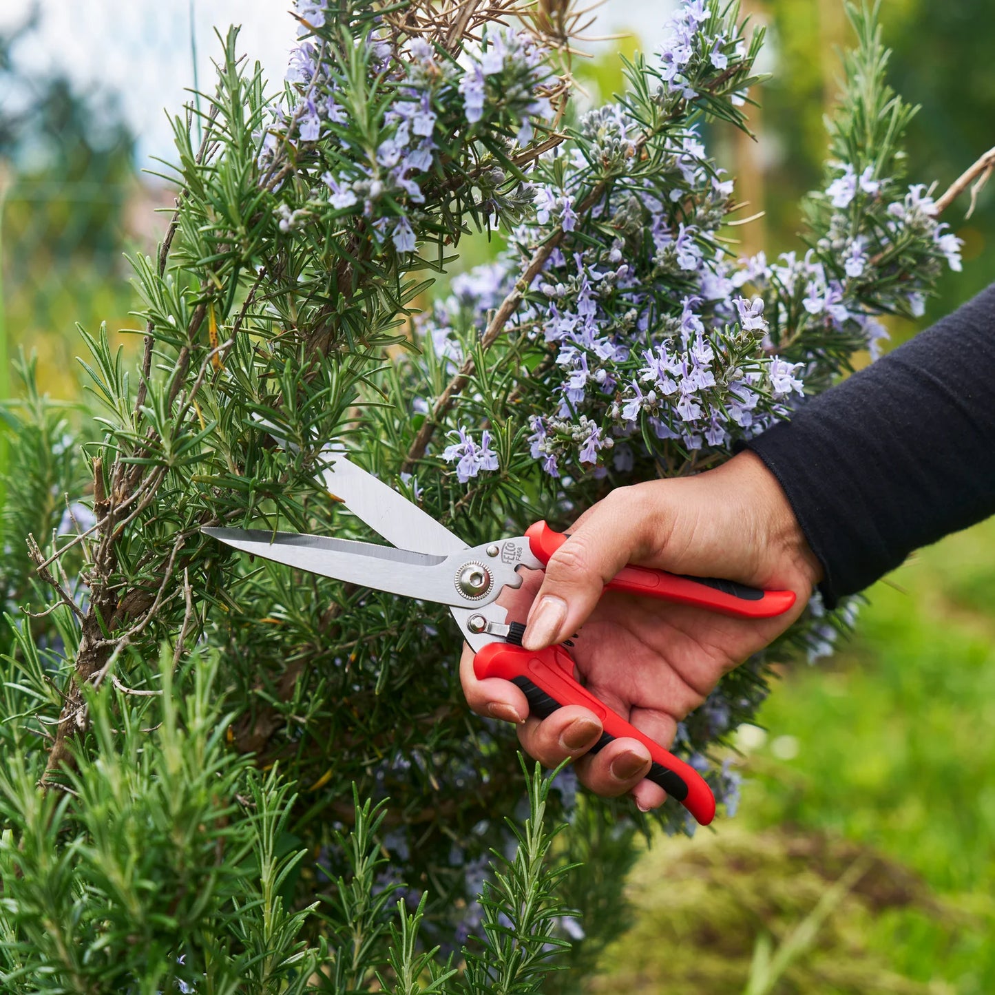 Felco cesoia per gli appassionati di giardinaggio 456