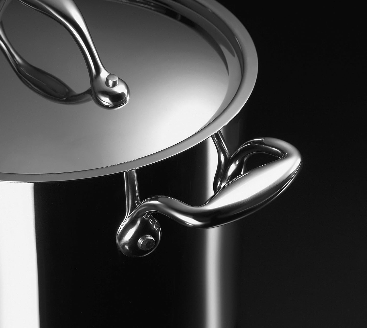 Lagostina Accademia Lagofusion Pentola con 2 Maniglie e Coperchio in Acciaio Inossidabile 22 cm (5,39 l) con coperchio adatta a tutti i piani cottura compresa induzione