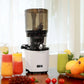 Kuvings Slow Juicer AUTO10S, silver, estrattore a freddo 50 giri al minuto + Ice Cream – Filtro per Gelati e Sorbetti